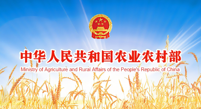 Report of the General Office of the Ministry of Agriculture and Rural Affairs on the Supervision and Spot Check of Fertilizers in the Second Half of Year 2019